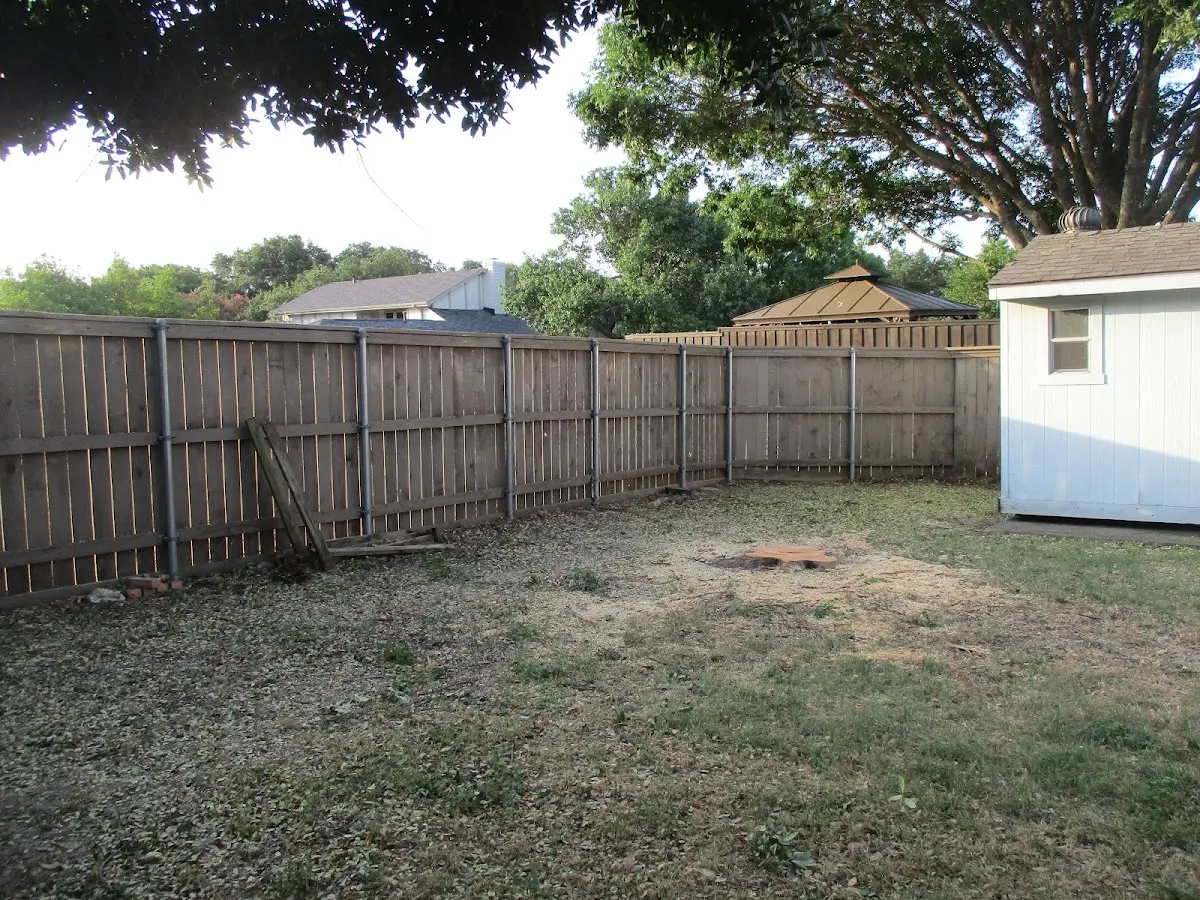 Cleared yard after professional tree removal in Spiceland